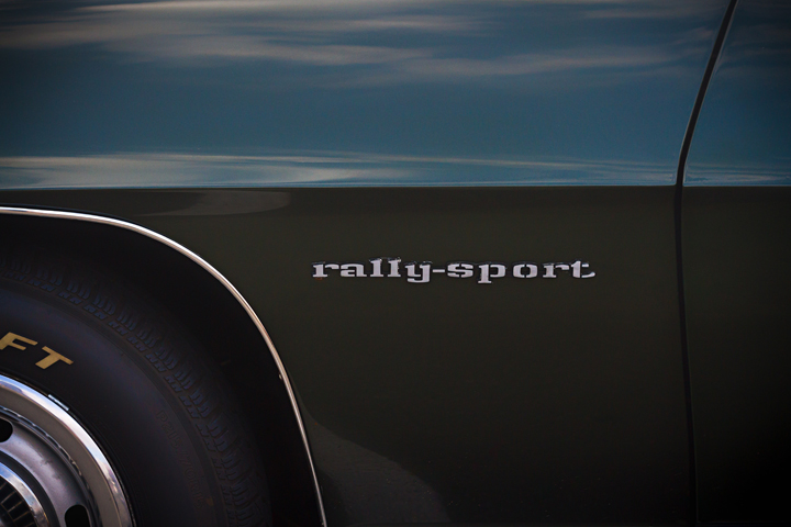 rallysport