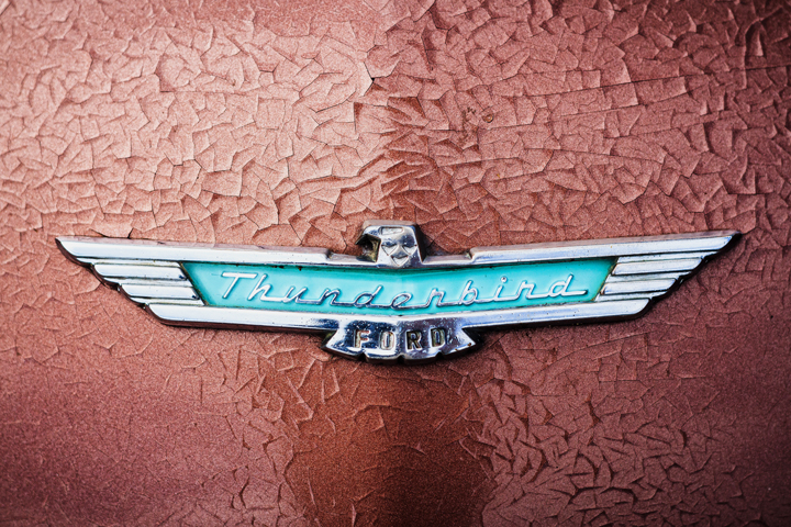 thunderbird-badge